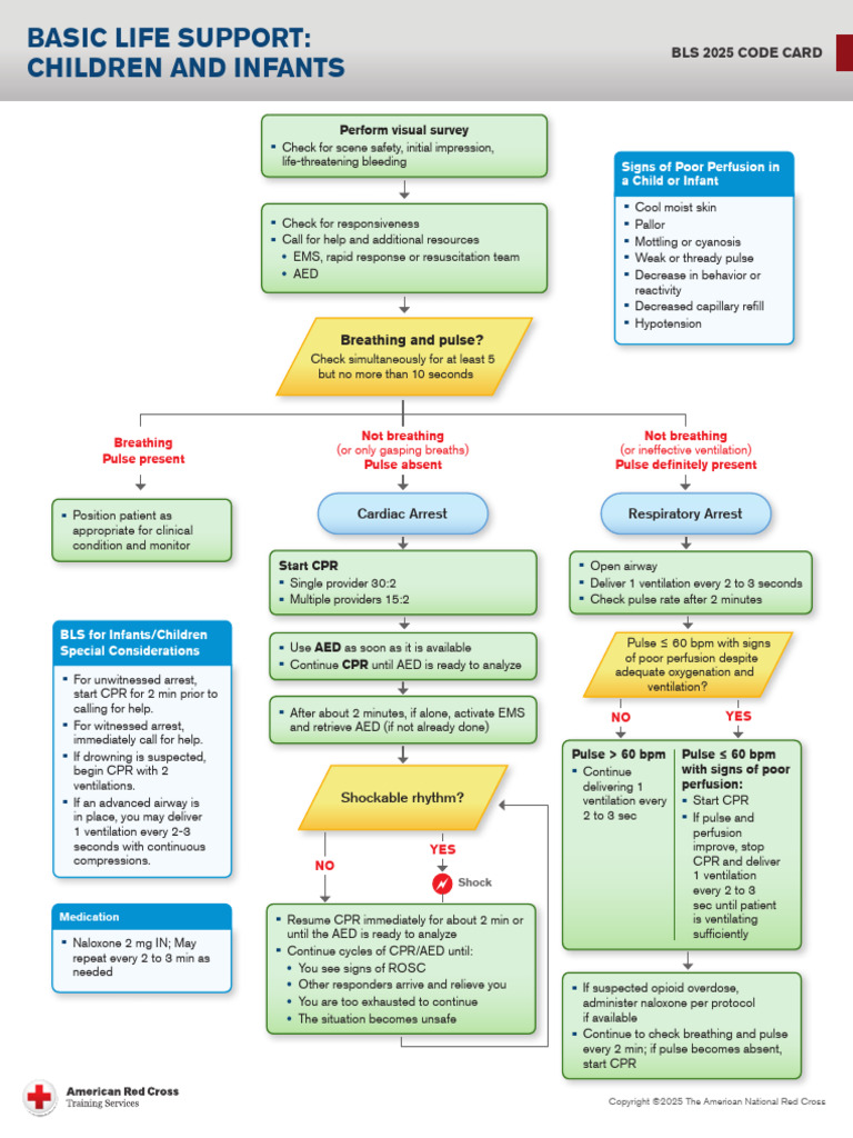 Bls Children Infants Code Card DgdVvibL | PDF | Cardiopulmonary ...