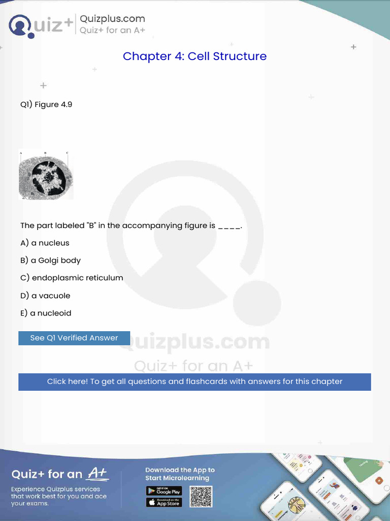 The Part Labeled B in the Accompanying Figure Is | PDF | Cellular ...