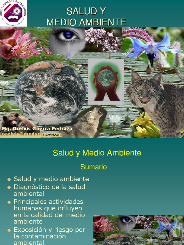 Salud y Medio Ambiente | PDF | Contaminación | La contaminación del agua