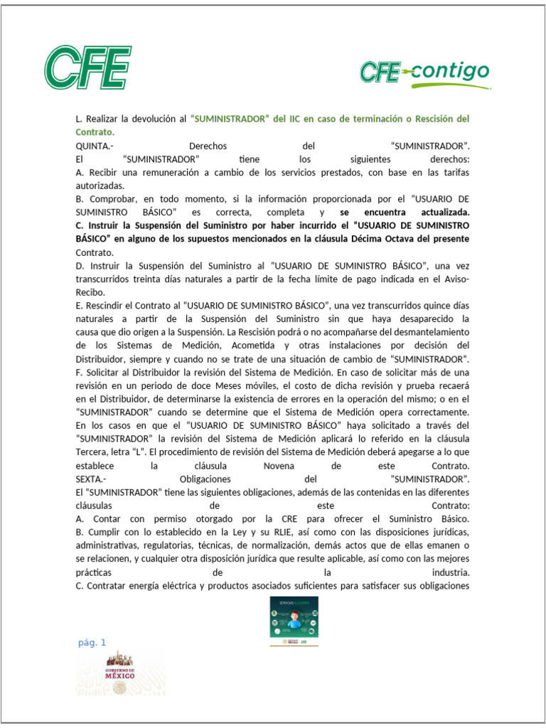 Contrato Cfe | PDF | Energia electrica | Medición