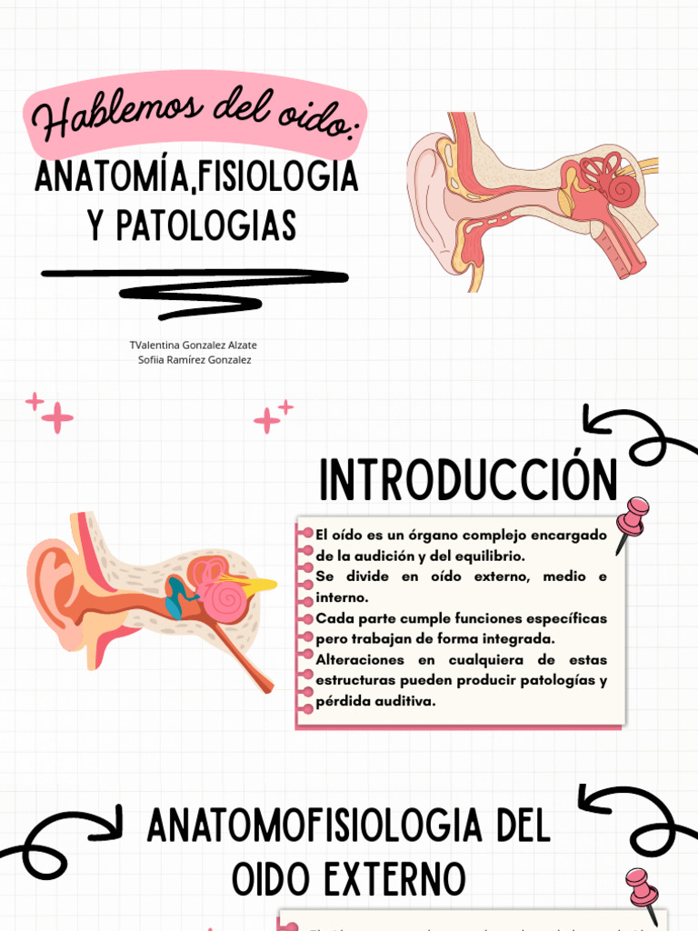 Presentación oído rosa.pdf patología y anatomía | PDF | Oído | Escuchando