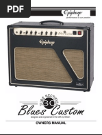 Download Manual Epiphone Blues Amplifier by Koen De Brabander SN103255654 doc pdf