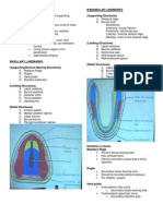 Prostho 3 Anatomic Landmark