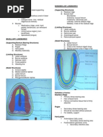 Anatomy of Edentulous Denture Bearing Area | PDF | Dentures ...