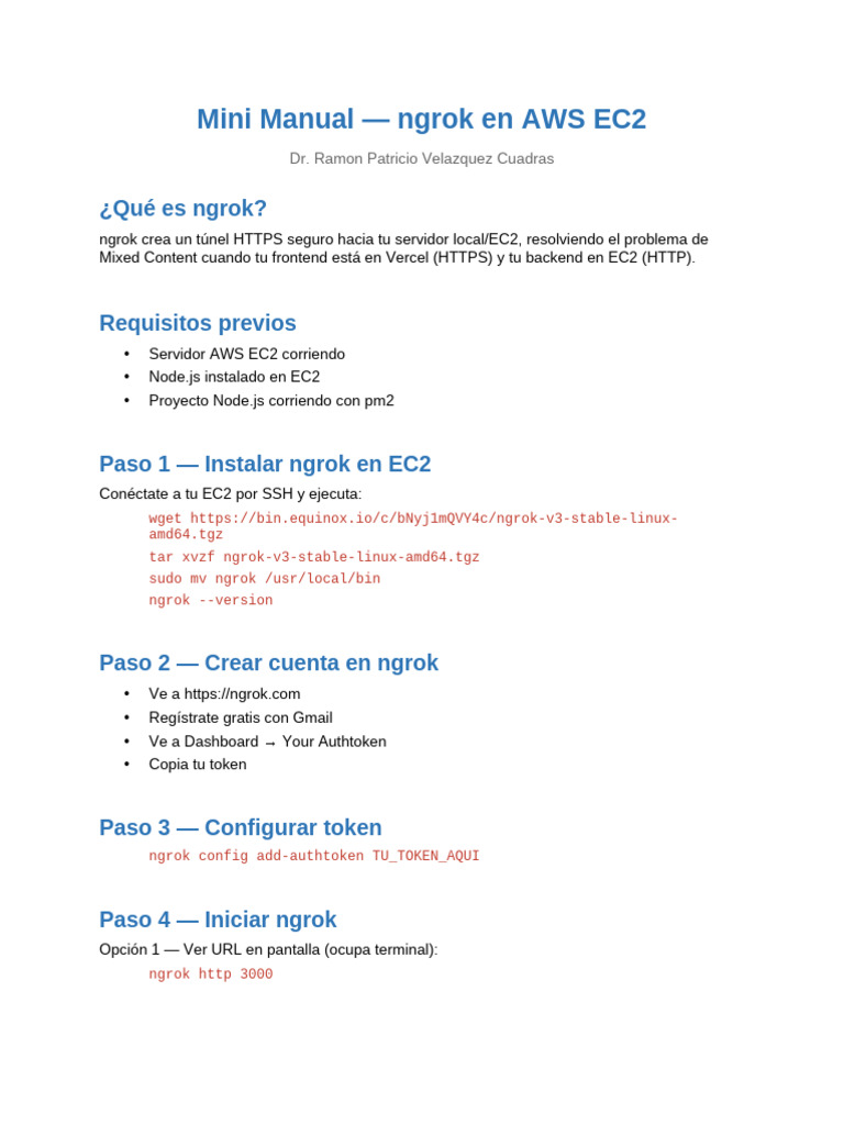 Manual Ngrok EC2 | PDF
