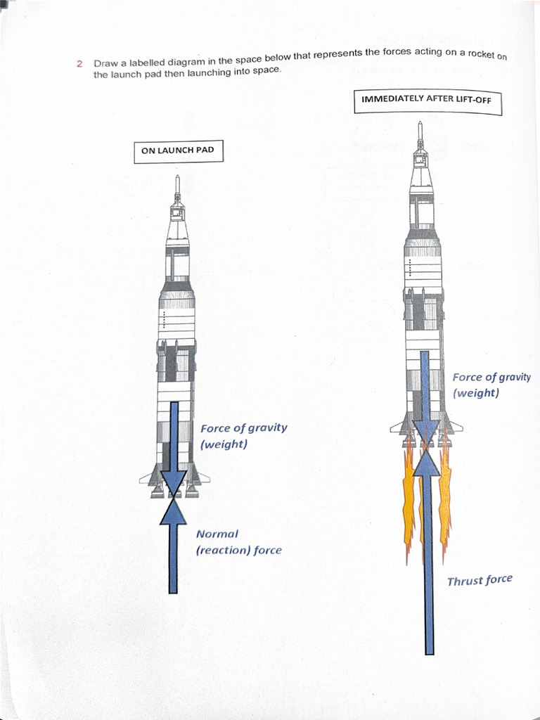 Draw a Labelled Diagram in the Space Below That Represents the Torces ...