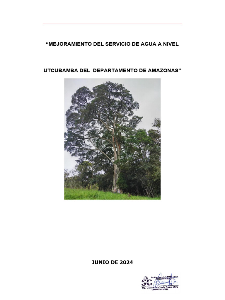 INFORME TOPOGRAFICO YAMÓN | PDF | Topografía | Geodesia