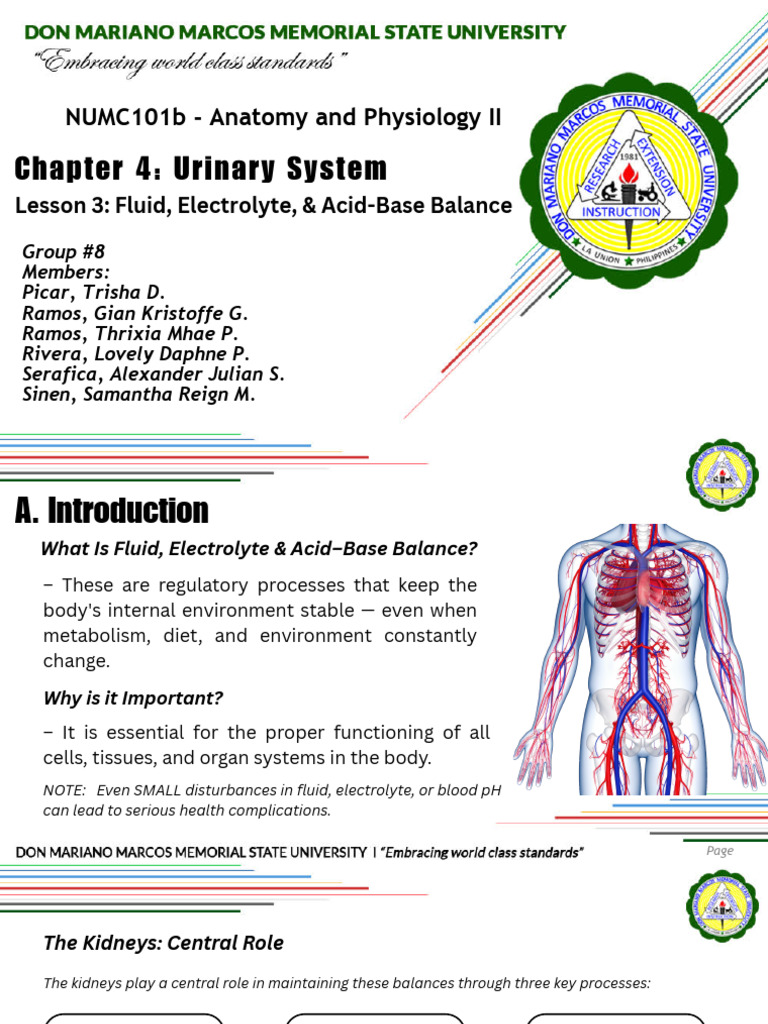 Fluid Electrolyte and Acid Base Balance | PDF | Kidney | Dehydration