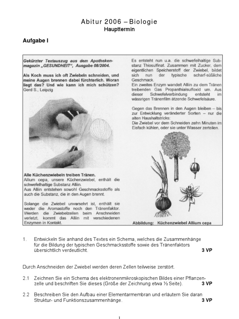 Bio Abi 2006