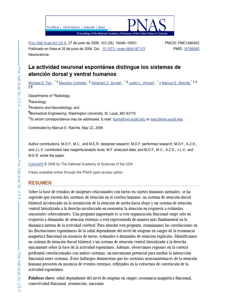La Actividad Neuronal Espontánea Distingue Los Sistemas de Atención ...