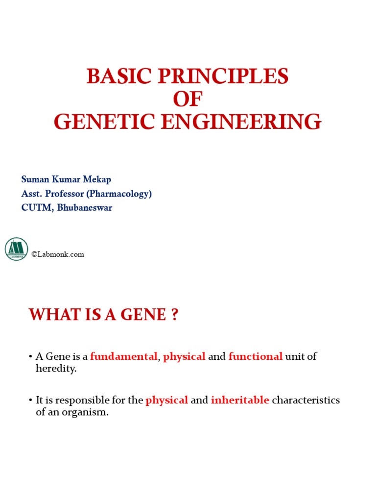 BASIC-PRINCIPLES-OF-GENETIC-ENGINEERING | PDF | Polymerase Chain ...
