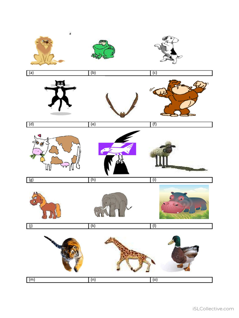 Animals and Objects.pdf | PDF