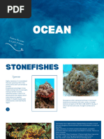 Pakol Fish: Characteristics and Habitat | PDF