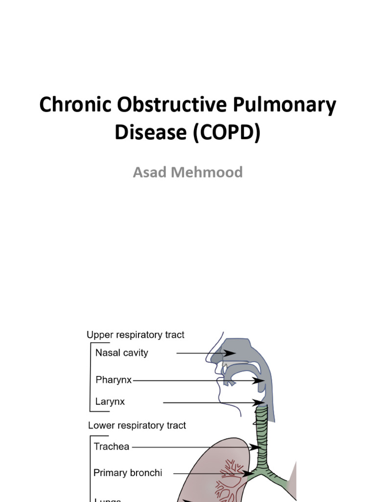 Chronic Obstructive Pulmonary Disease (COPD) | PDF | Chronic ...