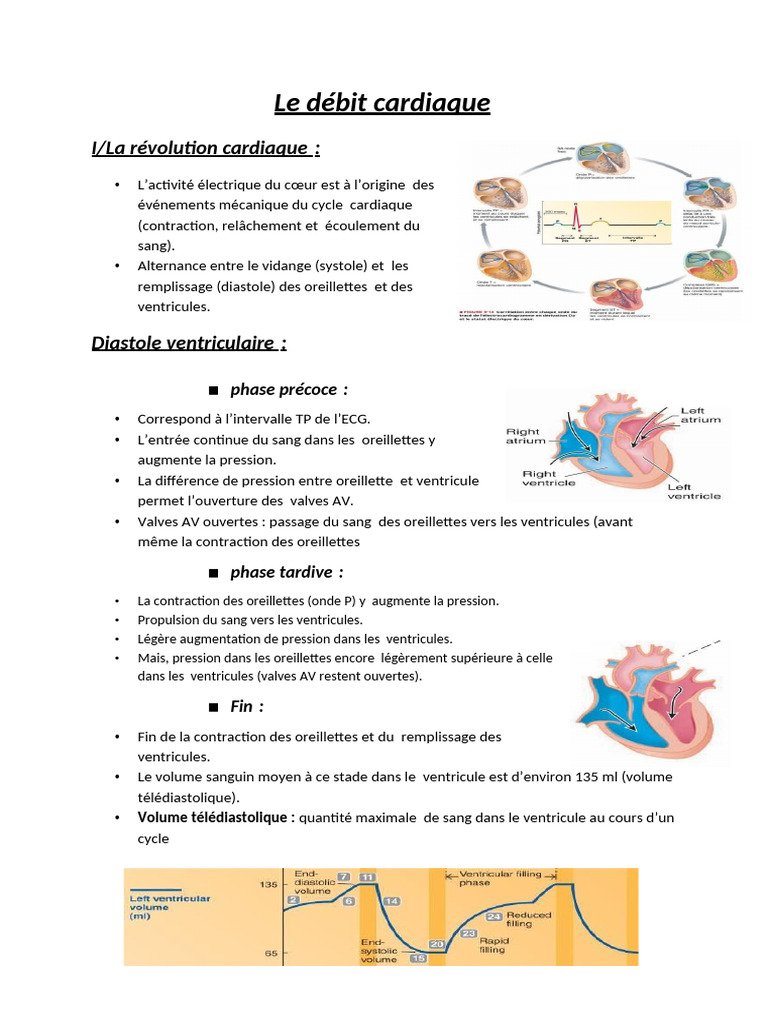 Ikrame Le Débit Cardiaque Fiches | PDF