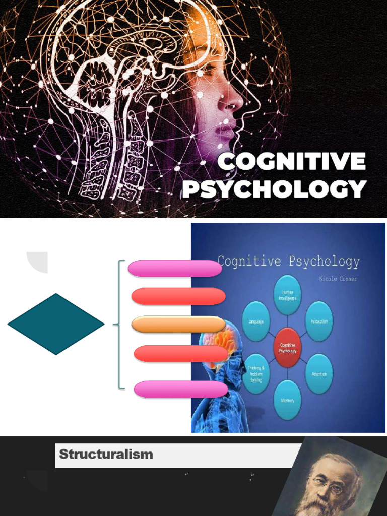 History and Perception | PDF | Visual Cortex | Perception