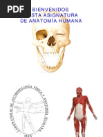 Download Anatomia by Cesar Vargas SN103277636 doc pdf