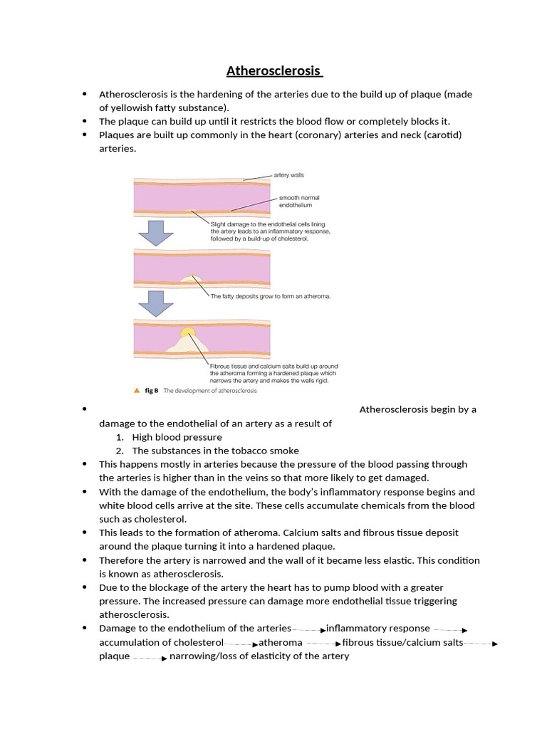 Atherosclerosis T1 8 | PDF | Atherosclerosis | Atheroma