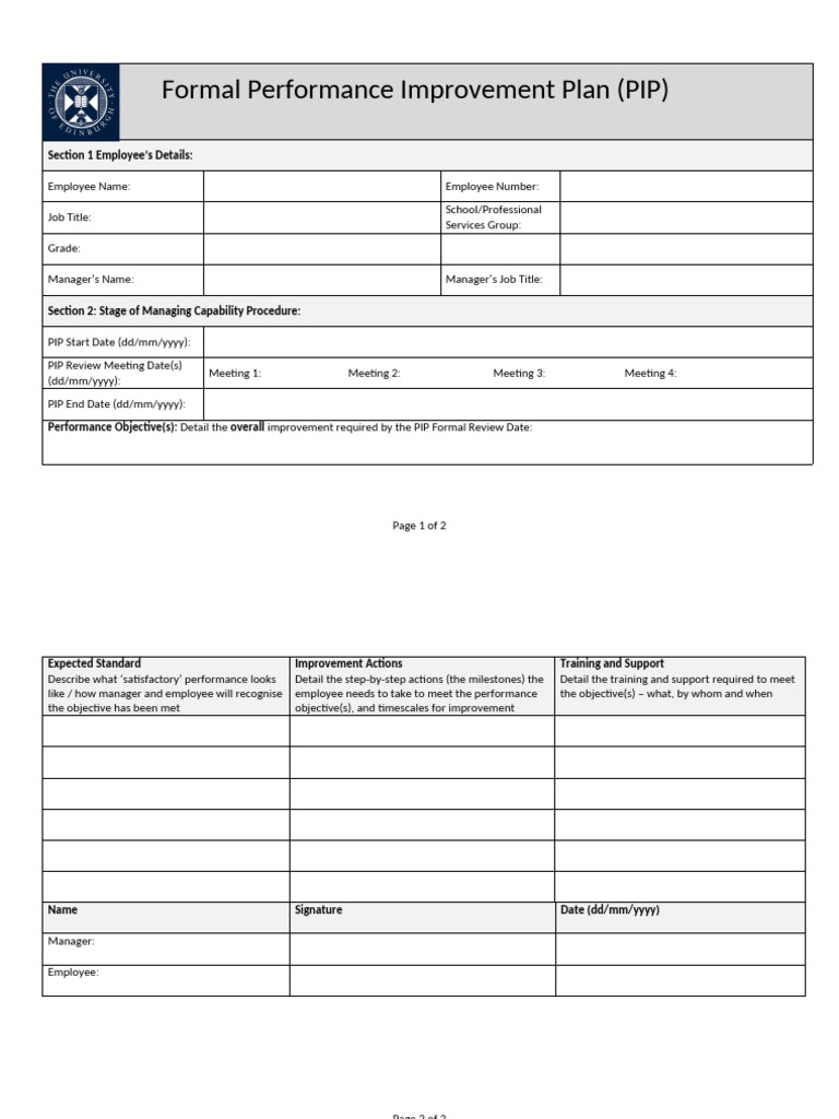 Performance Improvement Plan (Word) | PDF
