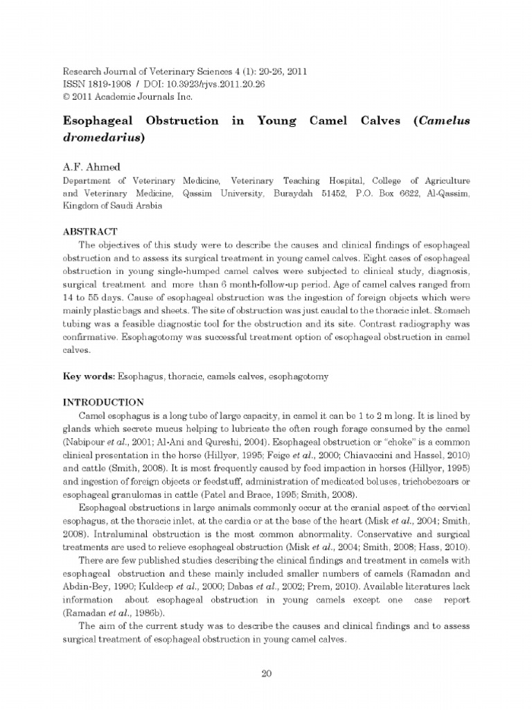 Esophageal Obstruction | PDF