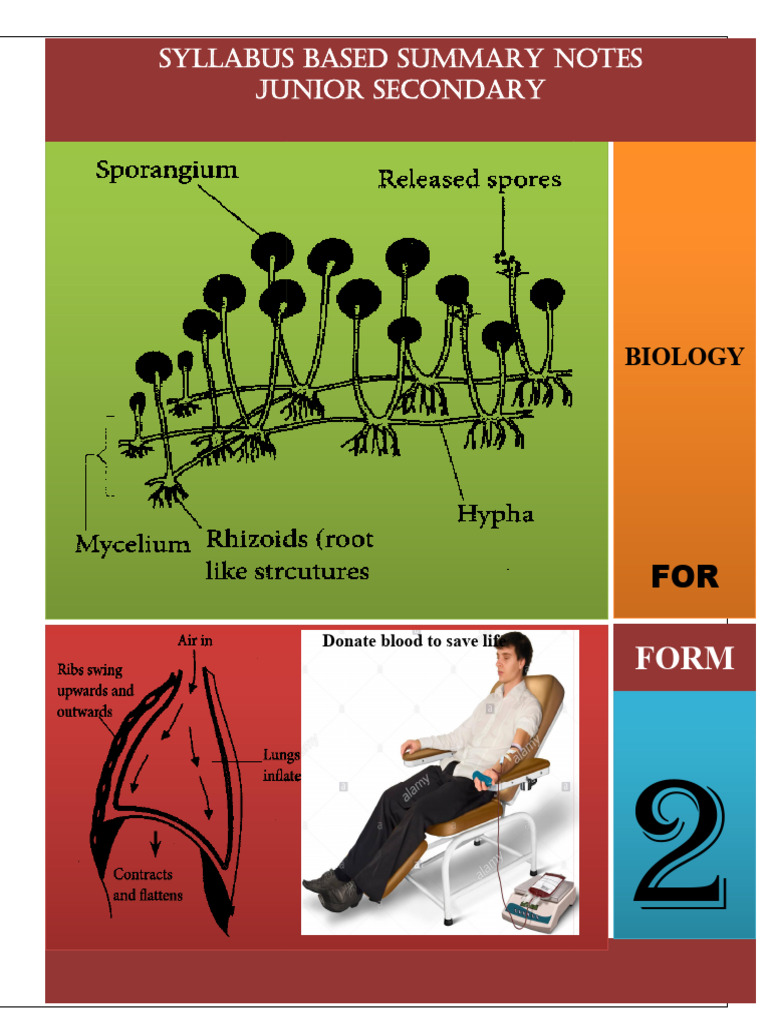 Form 2 Biology SUMMARY NOTES - Copy (Repaired) | PDF | Leaf ...