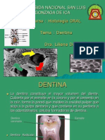 Dentina MgDiaz