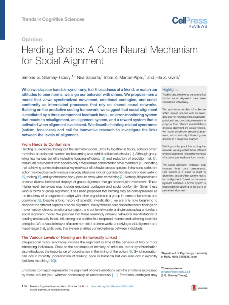 Heding Brain 2019 | PDF