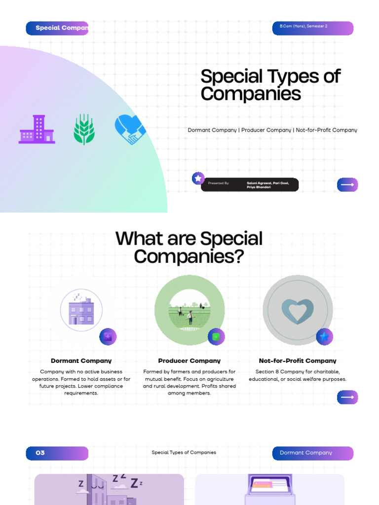 Special Types of Companies Overview | PDF | Nonprofit Organization ...