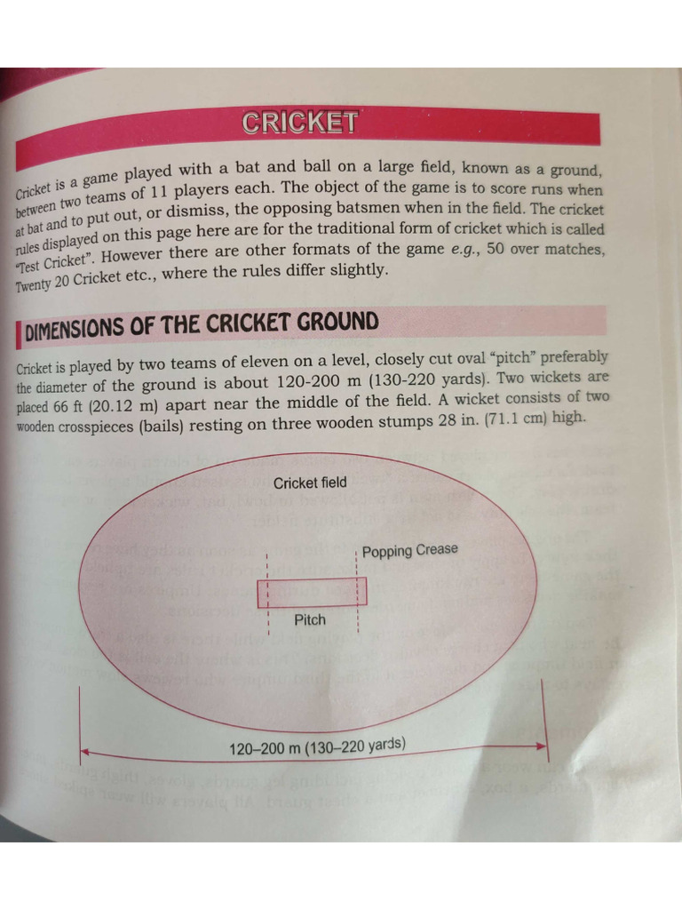 Cricket | PDF