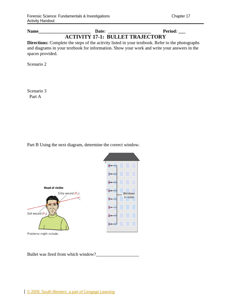 Activity 17-1 Bullet Trajectory | PDF