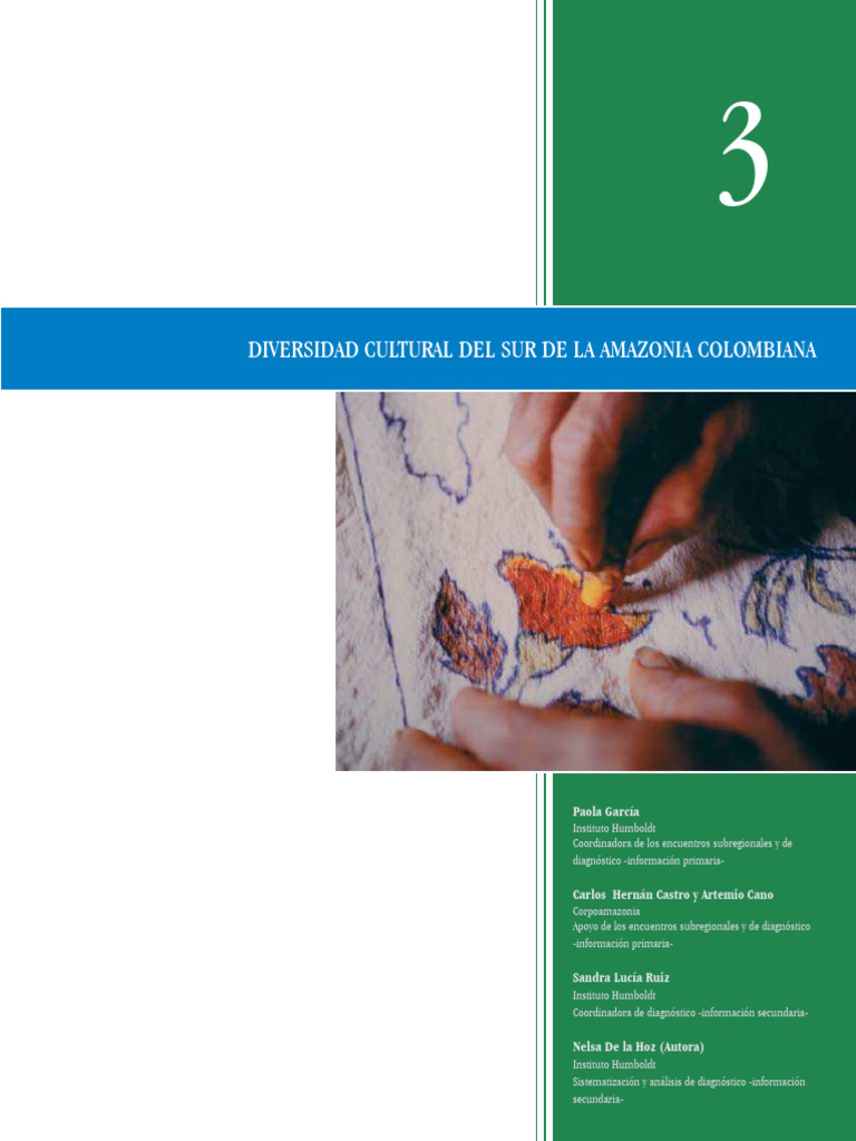 Diversidad Cultural Del Sur de La Amazon | PDF | Selva amazónica ...