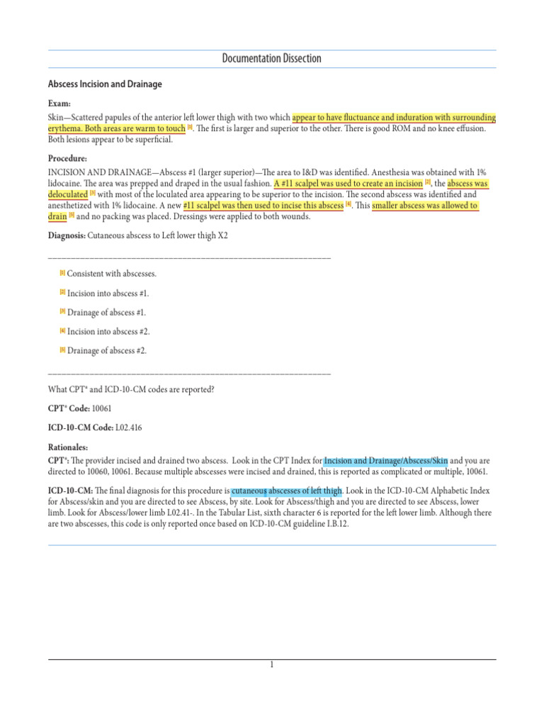 Integ Abcess Abscess Incision and Drainage Slide09 | PDF