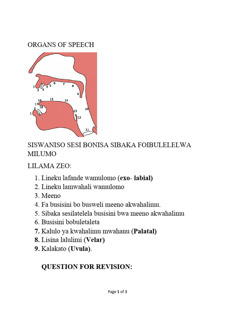 Phonology and Morphology Lesson Notes 1 | PDF