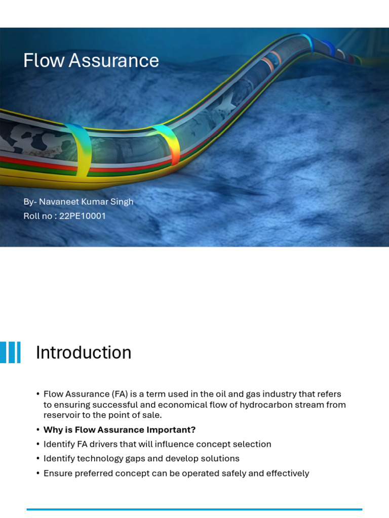 FLOW Assurance 22pE10001 | PDF