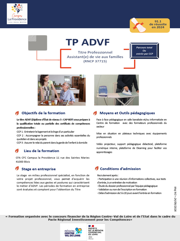 Titre Professionnel Assistant (E) de Vie Aux Familles ADVF | PDF ...