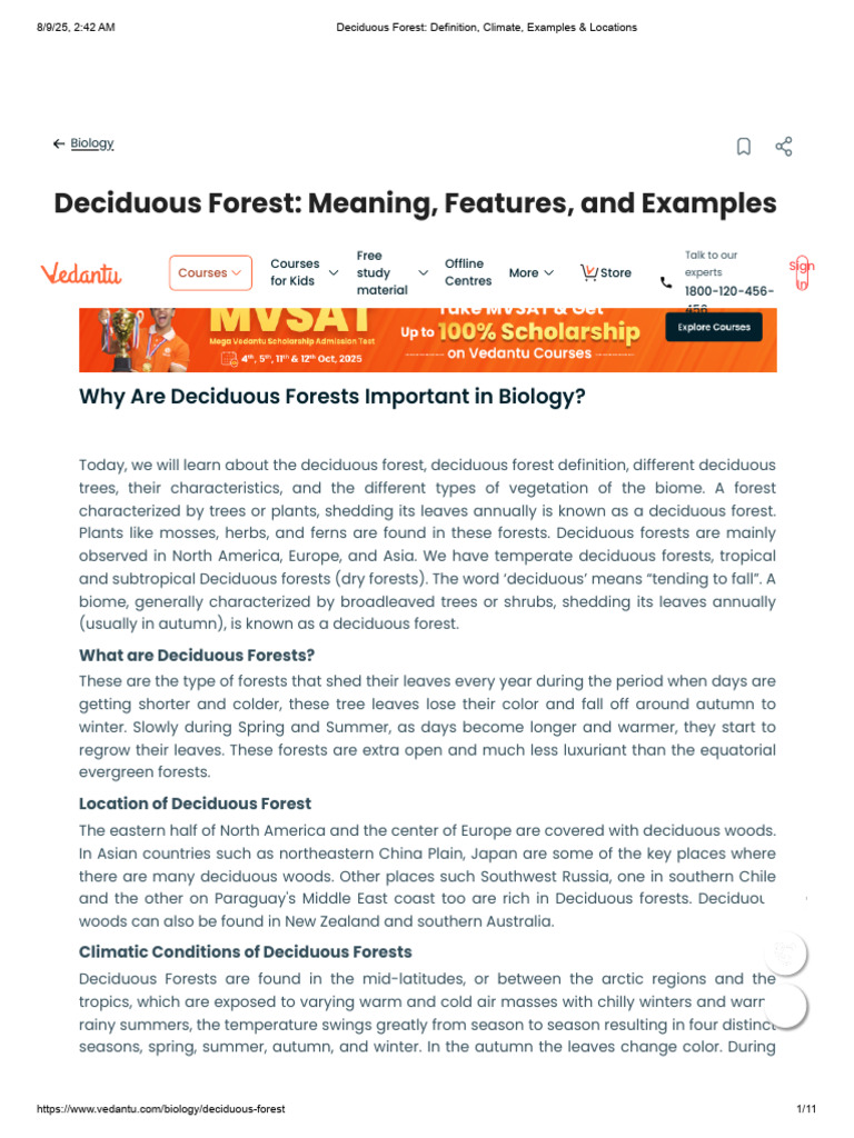 Deciduous Forest_ Definition, Climate, Examples & Locations | PDF ...