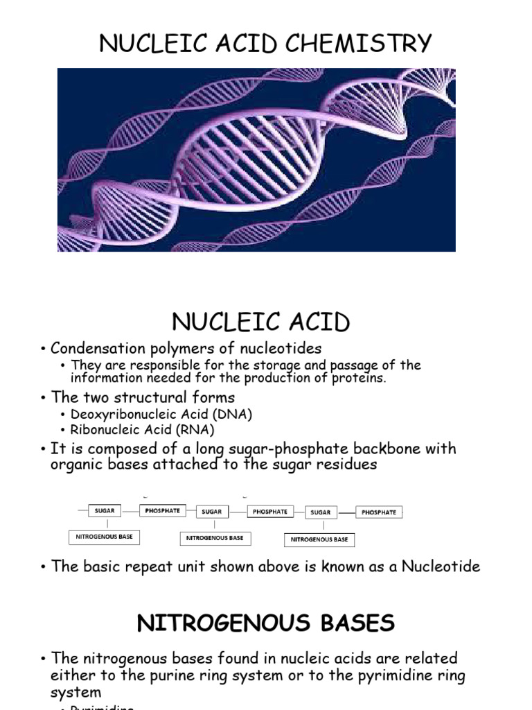 Nucleic Acids | PDF | Nucleotides | Rna