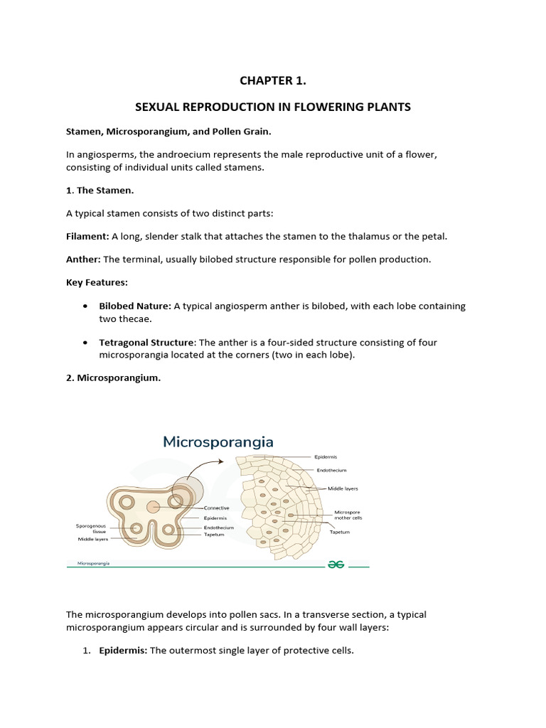 Sexual Reproduction in Flowering Plants | PDF | Pollen | Flowers