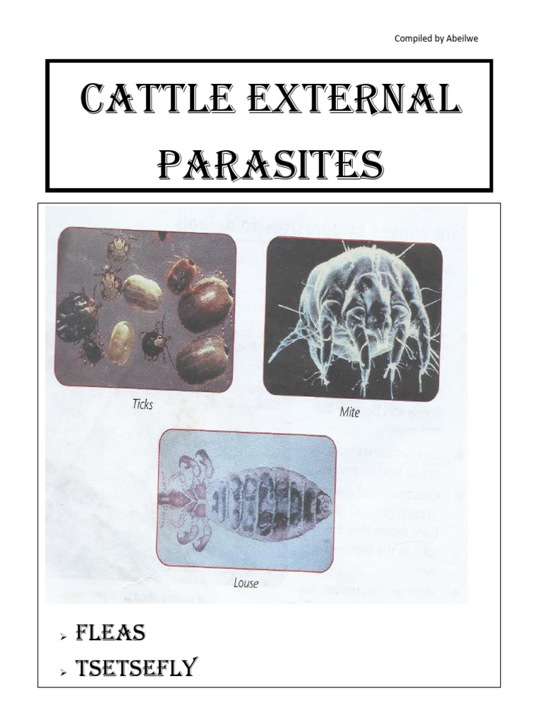 cattle-parasites-pdf