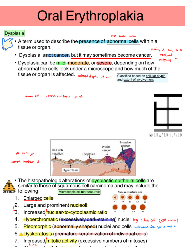 Oral Medicine IV Lec#14 | PDF | Biopsy | Clinical Medicine