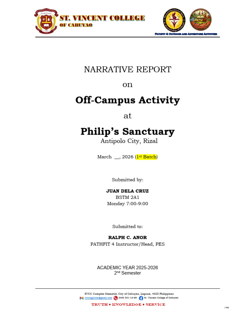 Narrative Report Template (1) | PDF | Cognition