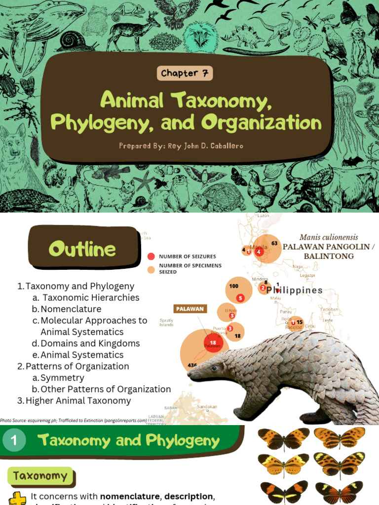 Chapter 7_Animal Taxonomy, Phylogeny, And Organization | PDF | Taxonomy ...