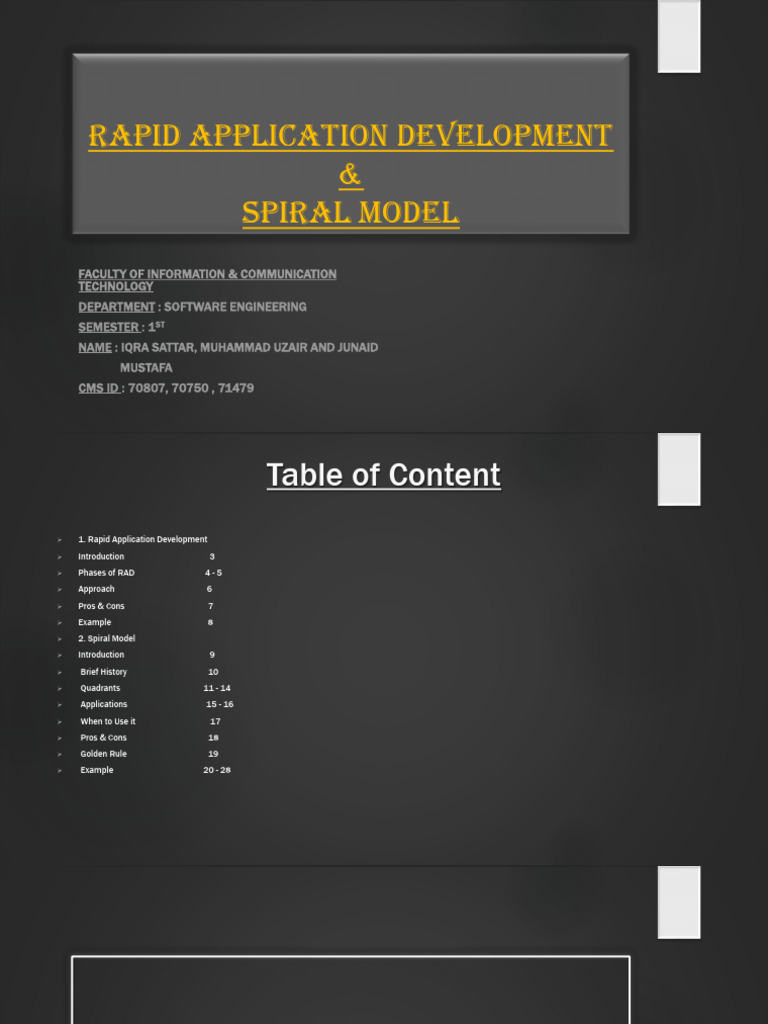Rapid application development | PDF | Software Testing | Systems ...