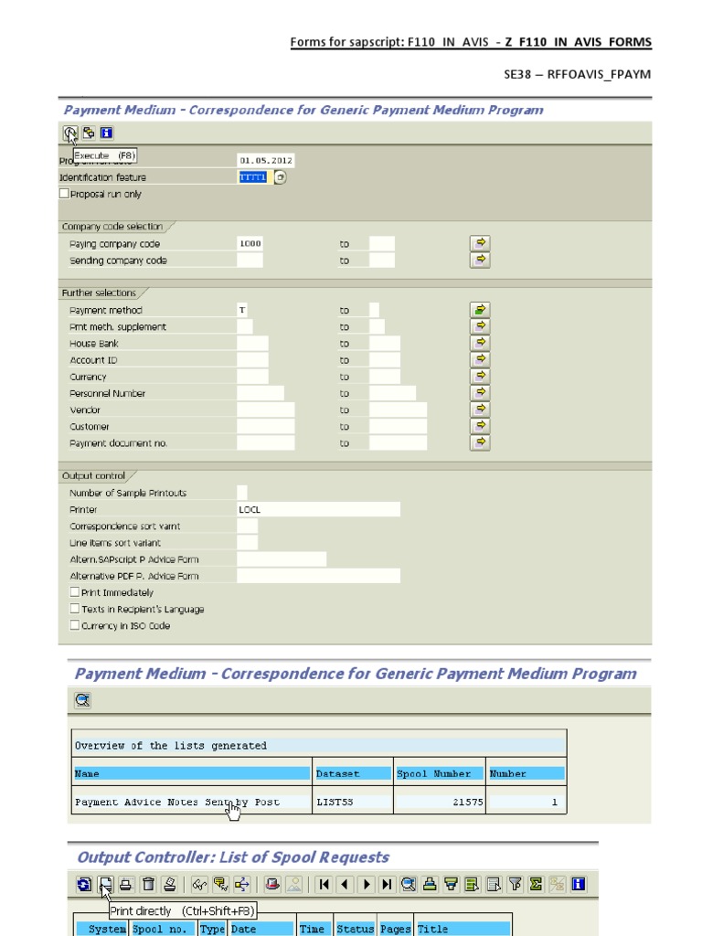 F110 SAP Avis Forms and Parameters | PDF | Computer Programming | Computing