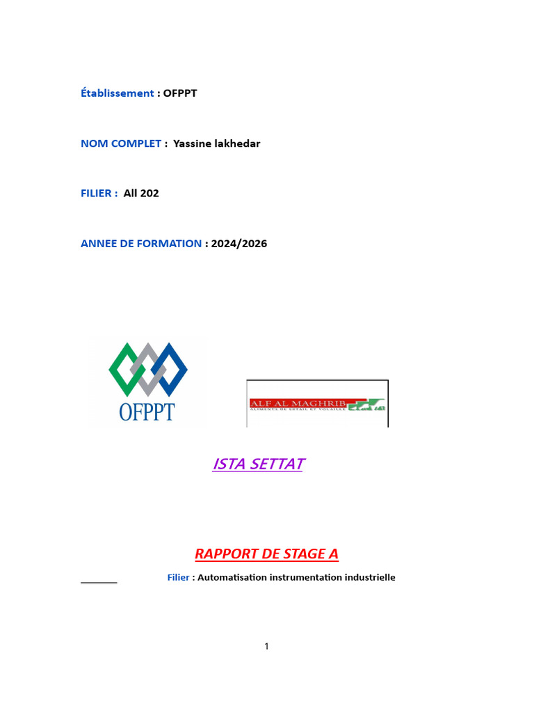 Rapport PDF 01 | PDF