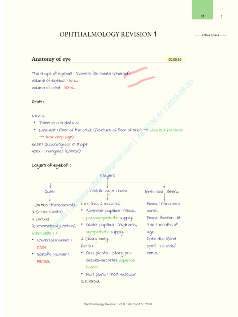 Ophthalmology Revision E6.5 | PDF | Human Eye | Visual System
