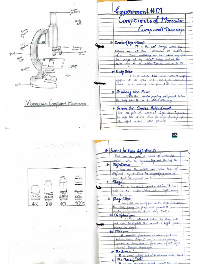 Biology Practical Copy | PDF