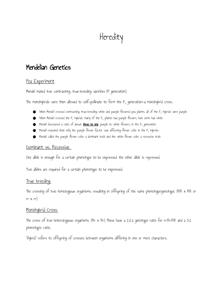 Mendelian Genetics Notes | PDF | Dominance (Genetics) | Allele