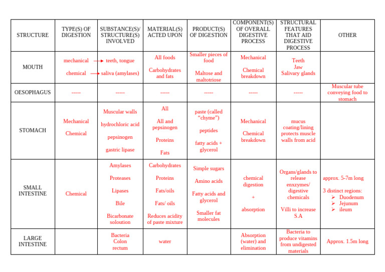 Digestion Summary Table - Some Example Cells | PDF | Digestion | Human ...