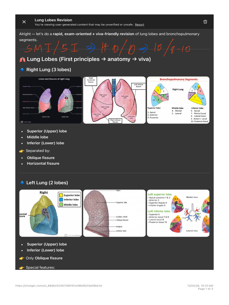 - Lung Lobes Revision | PDF | Lung | Respiratory System